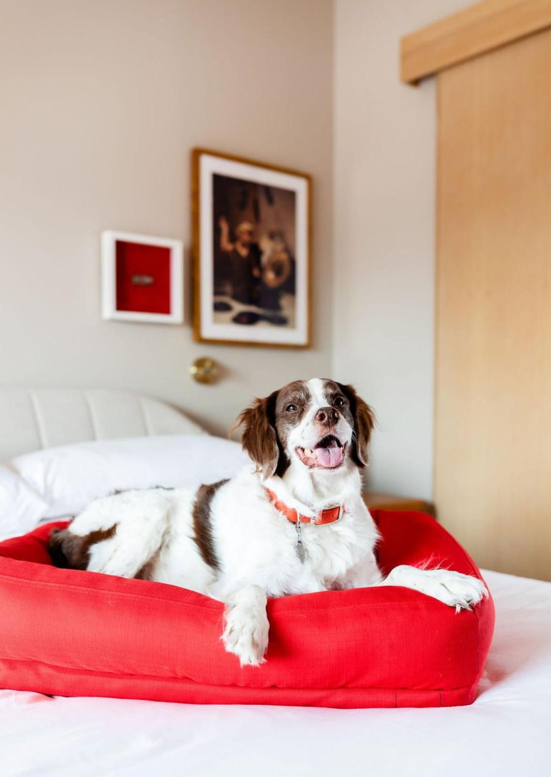 Virgin Hotels Chicago