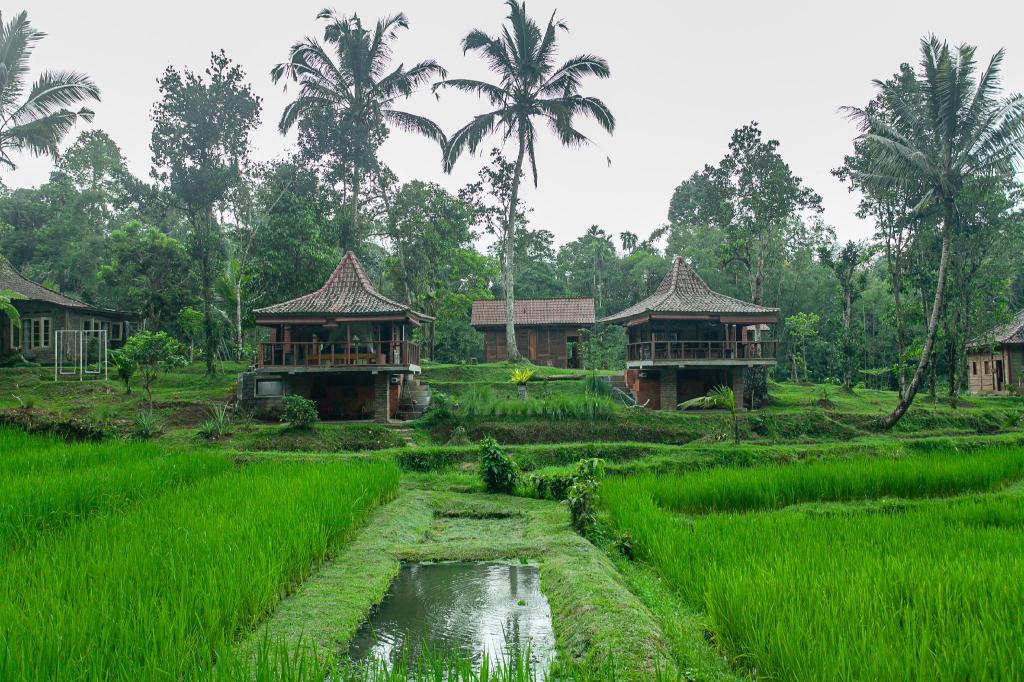 Tepi Sawah Lodge