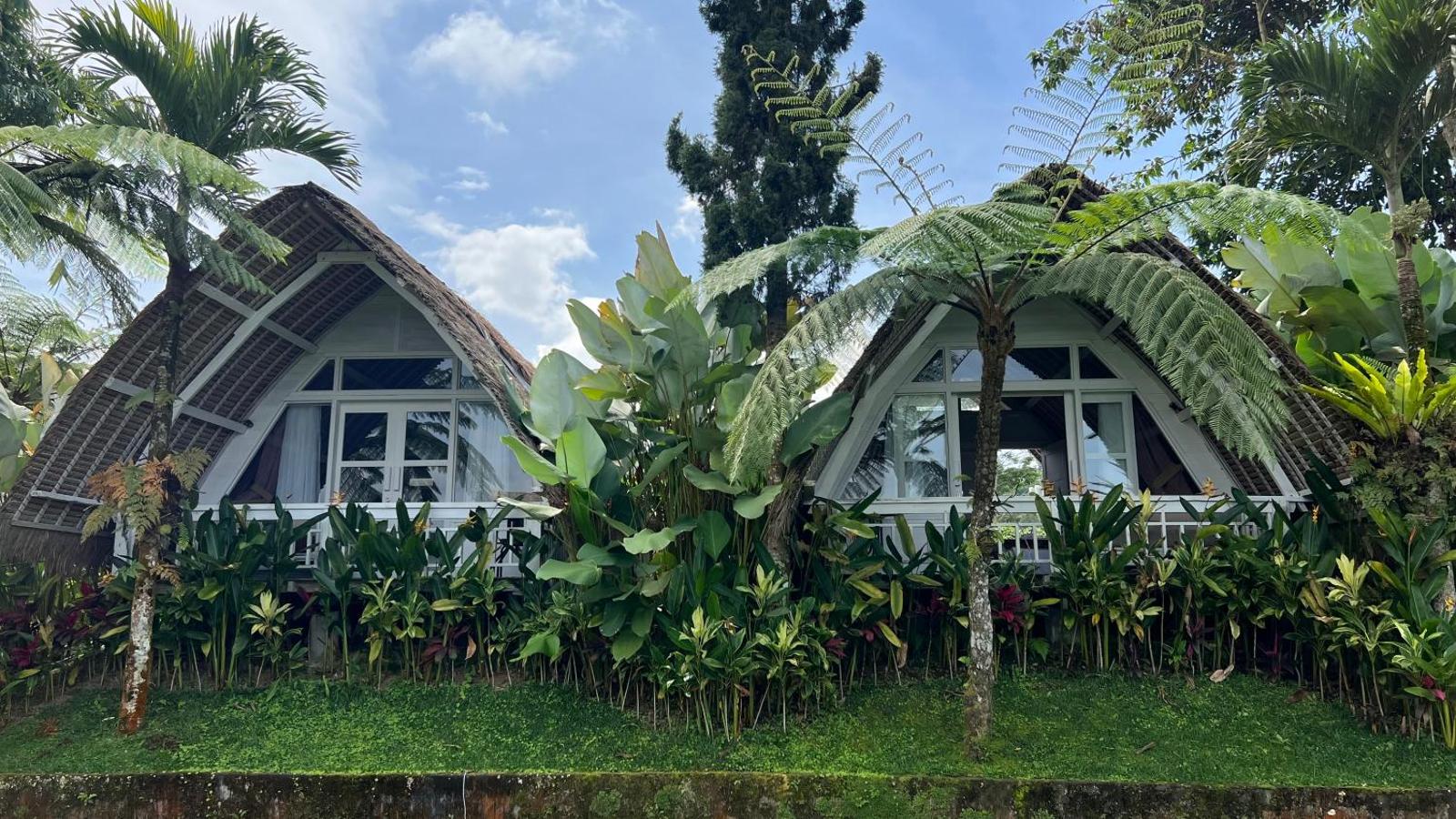 Village Above The Clouds